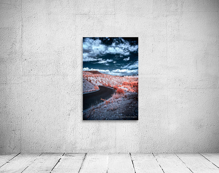 Dreamscape Pathway in Surreal Hues Wall Preview