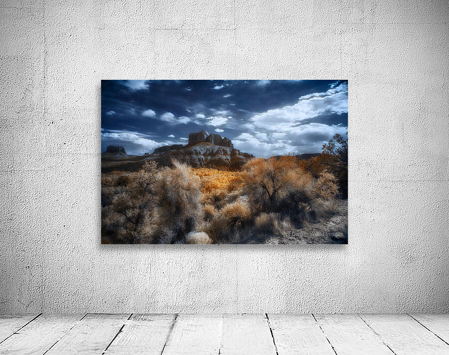 Sunlit Poetry Across Wilderness Towers Wall Preview