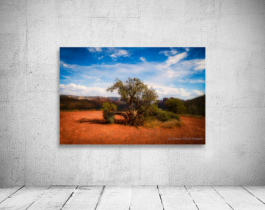 Gnarled Ode on Reddish Earth Wall Preview