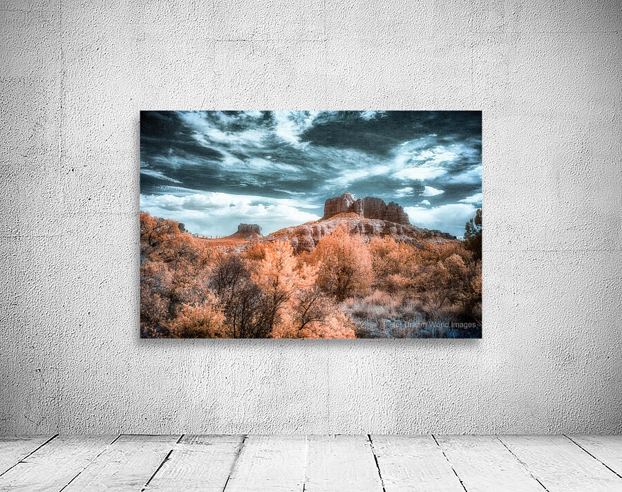 Chromatic Dance of Forest and Desert Wall Preview