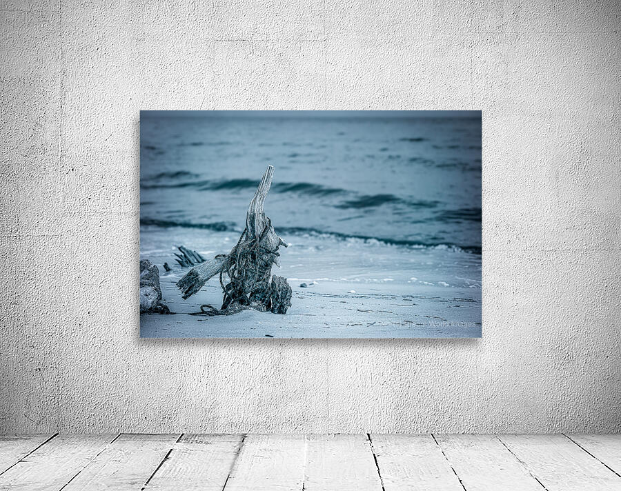 Oceans Driftwood Sentinel Wall Preview