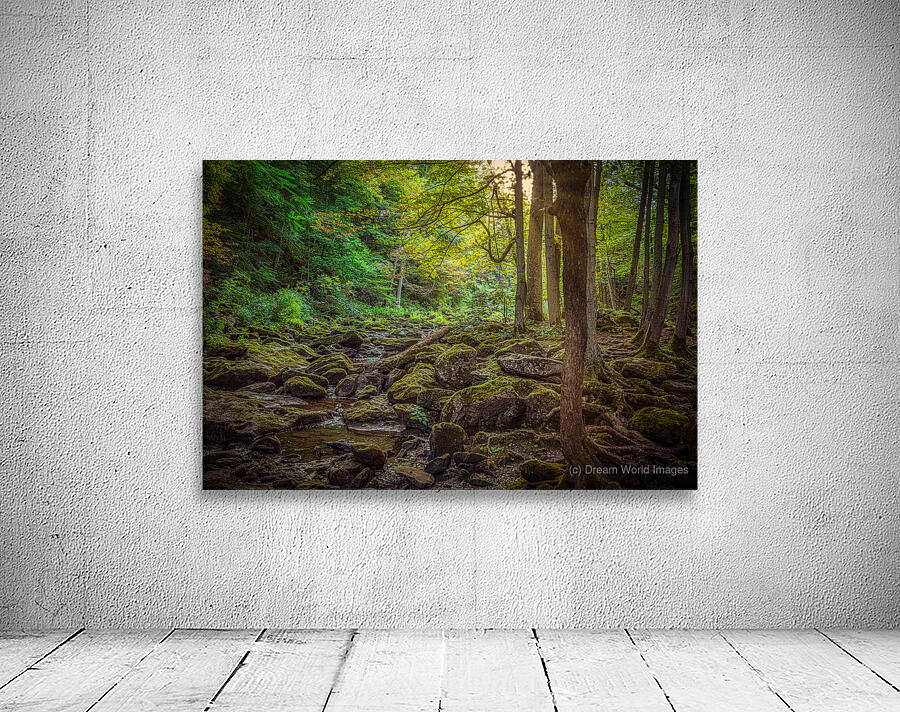 Moss Kissed Canopy Light Wall Preview