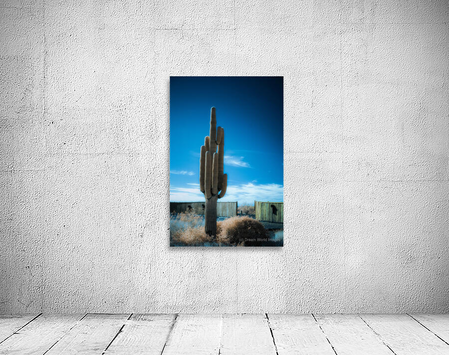 Cactus Symphony beneath Azure Heights Wall Preview