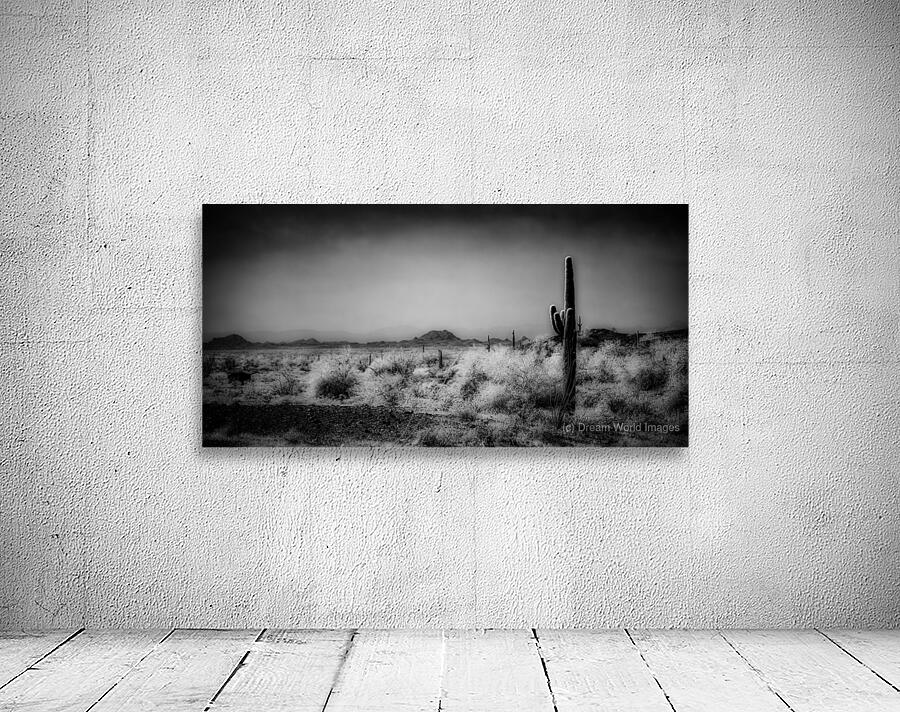 Desert Stillness Wall Preview