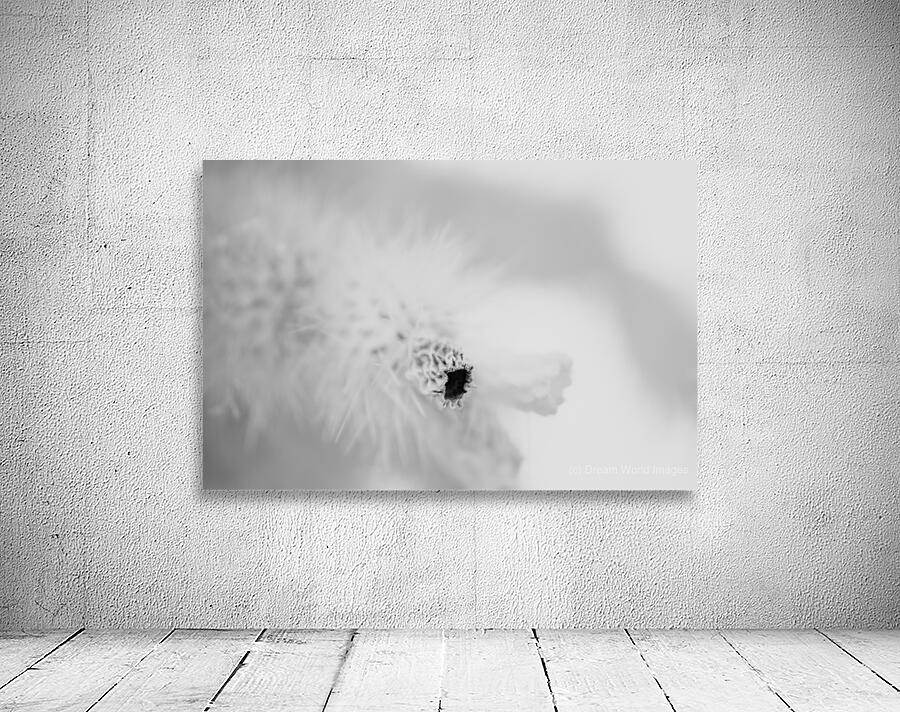 Prickly Veil Wall Preview