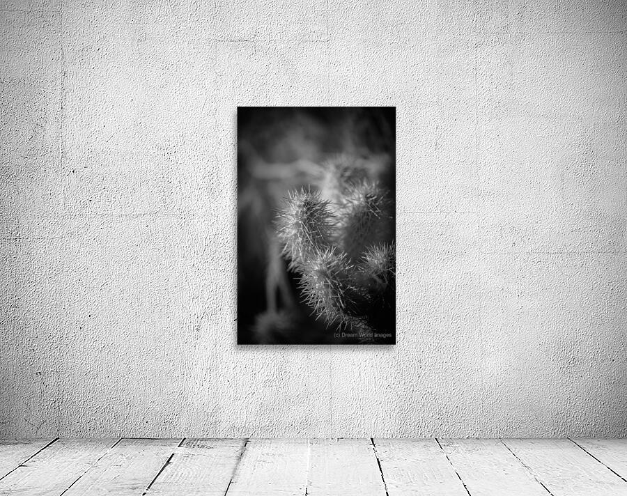 Textures of Thorn and Light Wall Preview