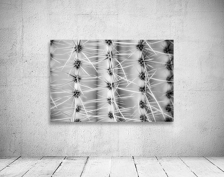 Symmetry in Spine Wall Preview