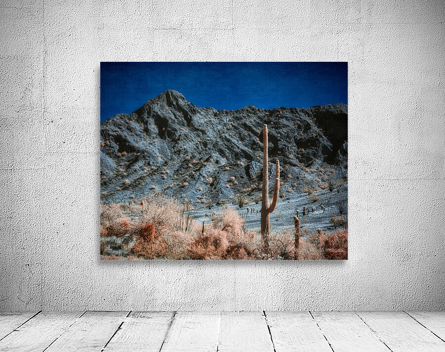 Surreal Desert in Blush and Indigo Wall Preview