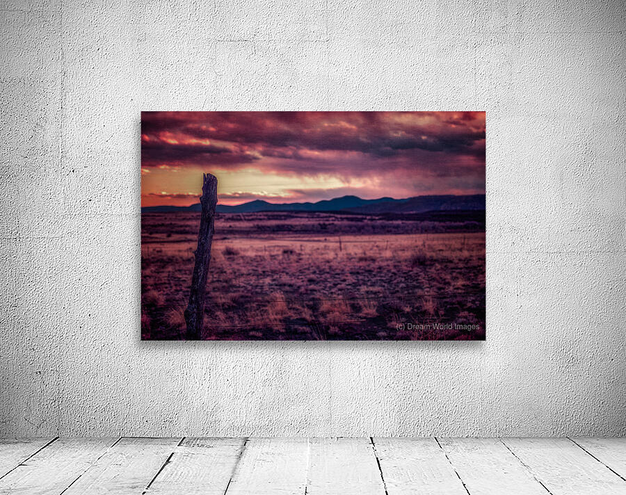 Timeless Solitude Under Painted Skies Wall Preview