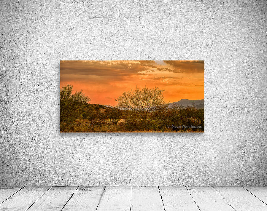 Eternal Calm of  Desert Hues Wall Preview