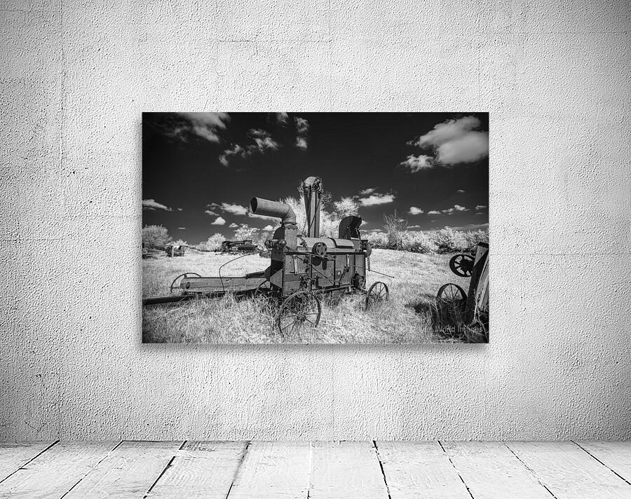 Rustic Relic   Arcaic Harvest Wall Preview