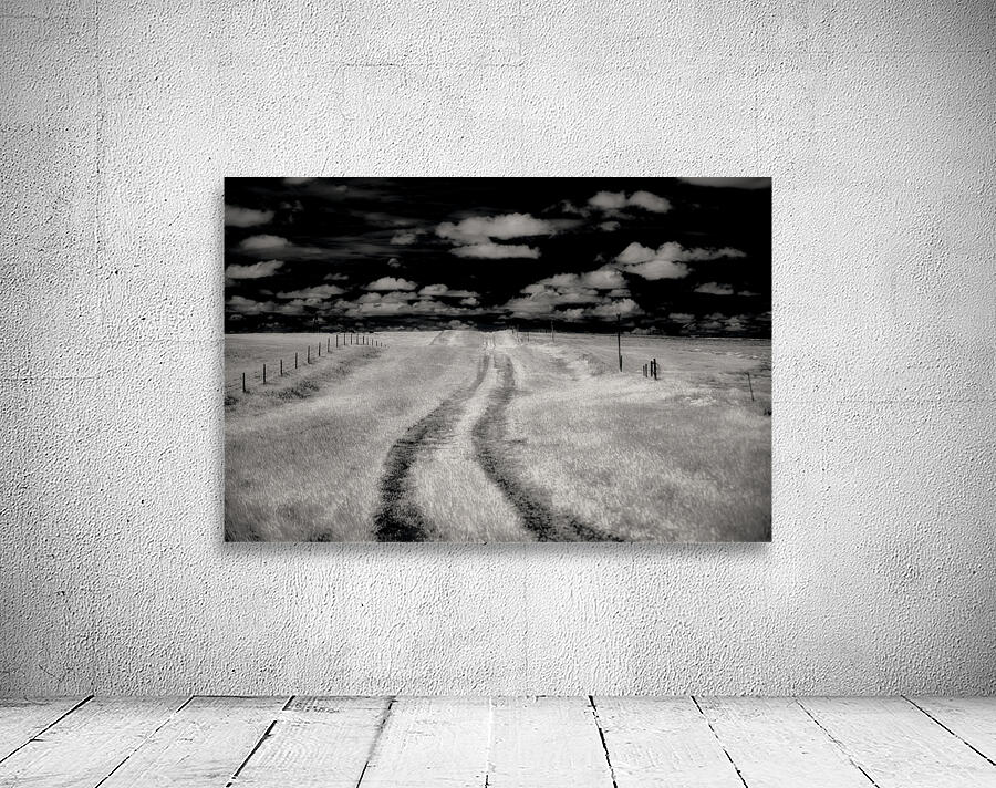 Prairies Eternal Path Wall Preview