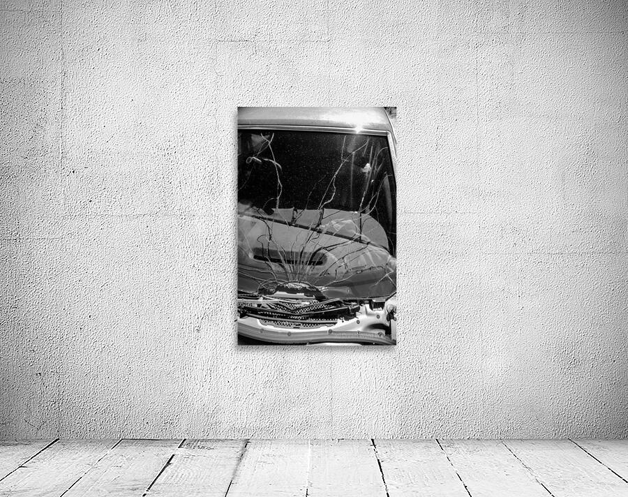 Rustic Relic   Cracked Vision Wall Preview