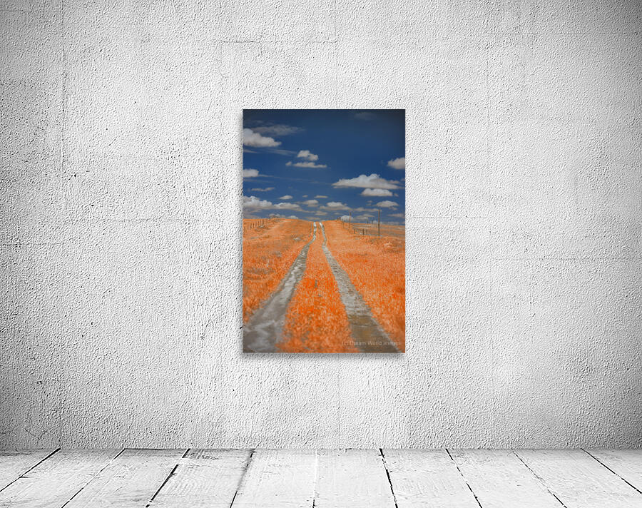 Copper Prairie Path Wall Preview