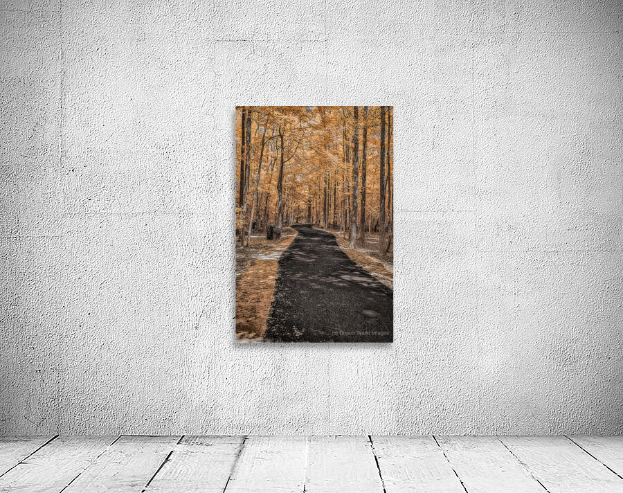 Golden Path Wall Preview