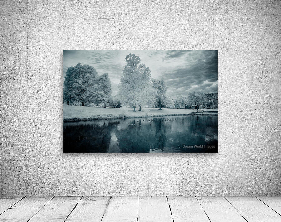 Silent Sentinels: Stonewalls Childhood Trees Wall Preview