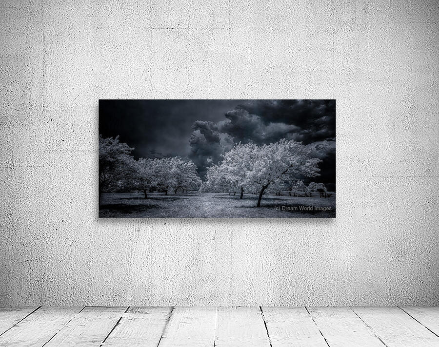 Illumination in Turmoil Wall Preview