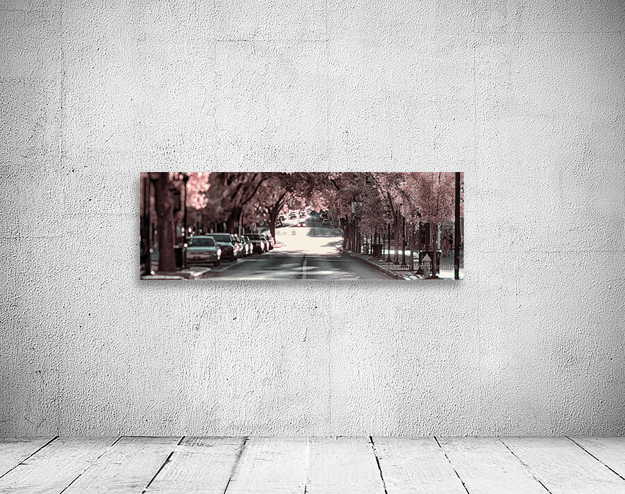 Springs Gentle Ascent Wall Preview