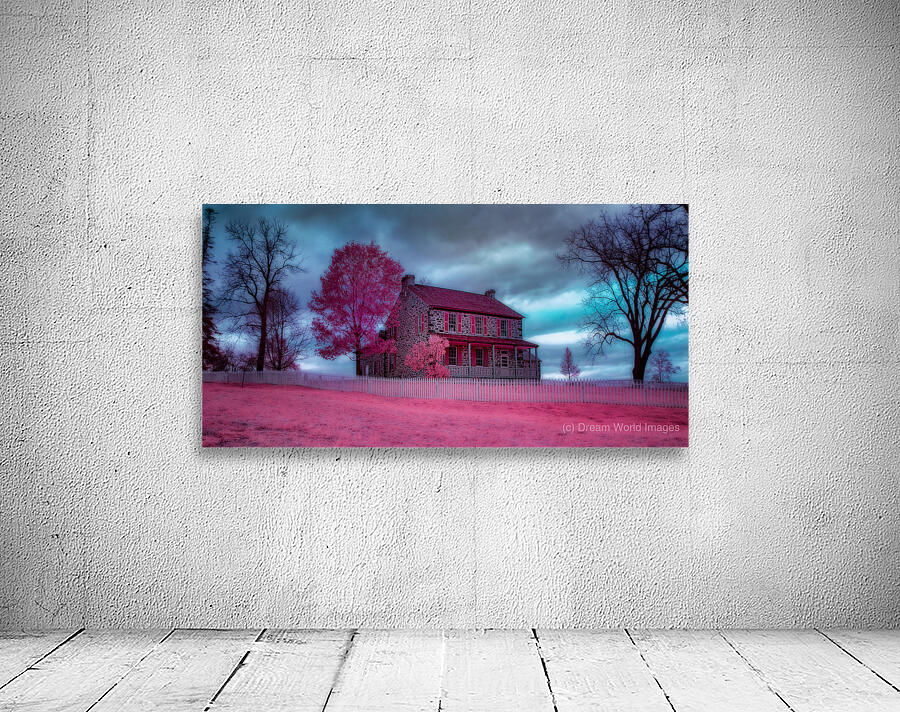 Rose Farm Dream Wall Preview