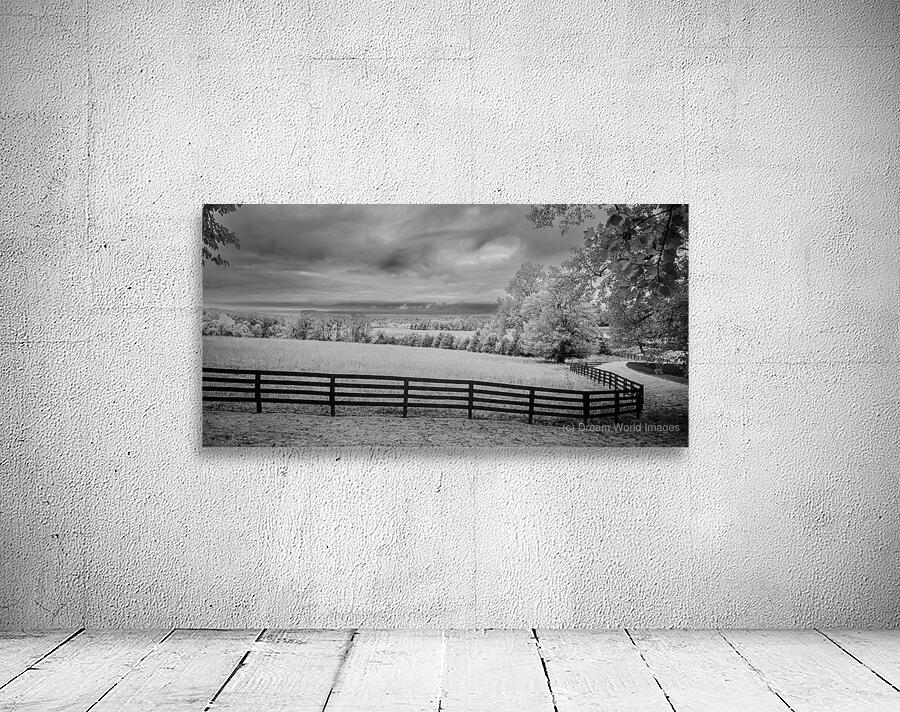 Lines of Legacy Wall Preview