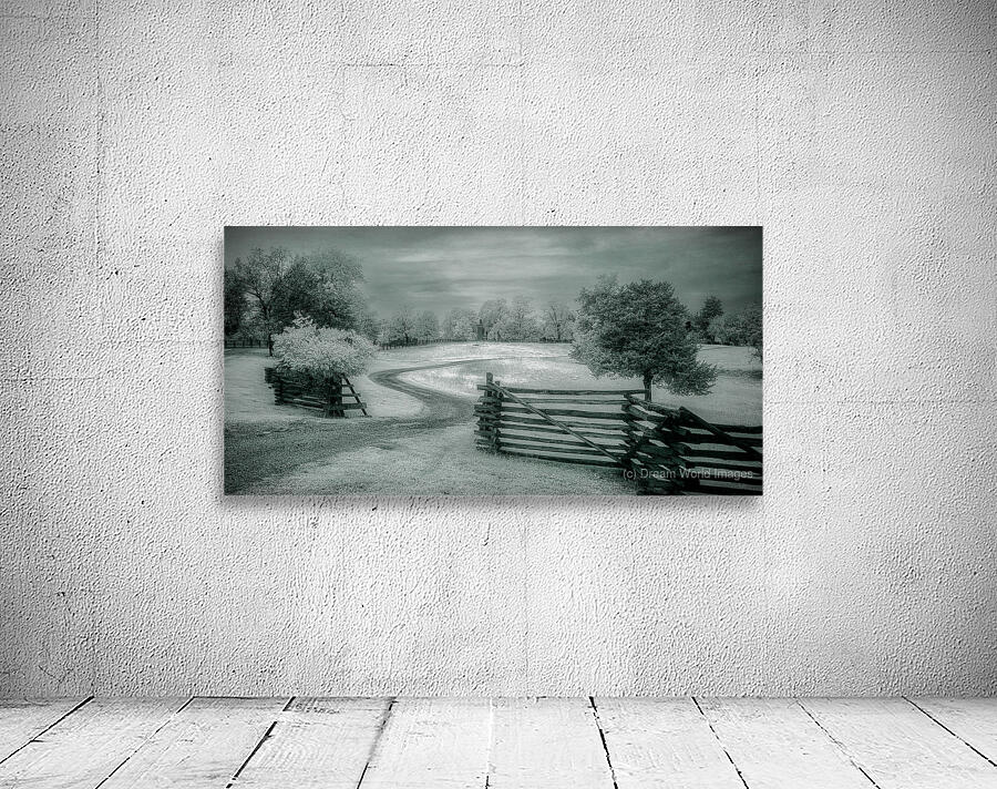 Surrenders Serenity Wall Preview