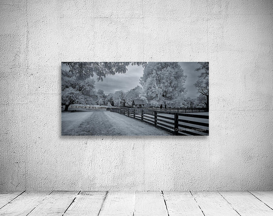 Pathways to Peace Wall Preview