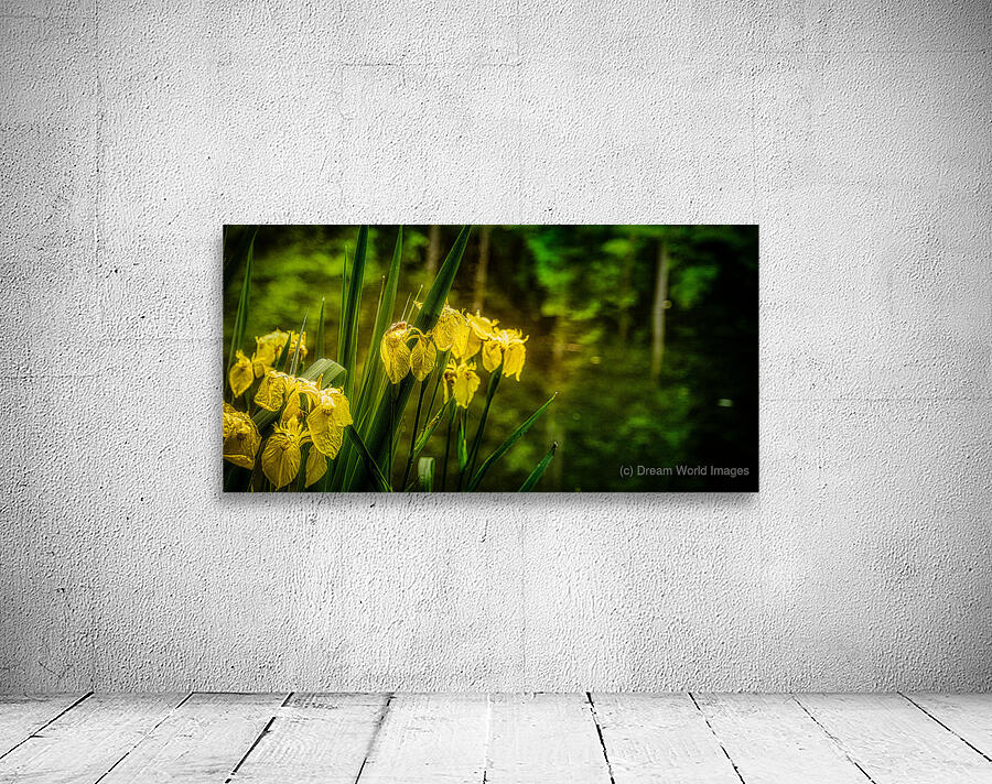Sun Kissed Blooms: Michaux Forests Yellow Flowers by Small Pond Wall Preview