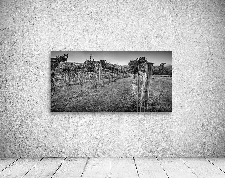 Extra wire Wall Preview