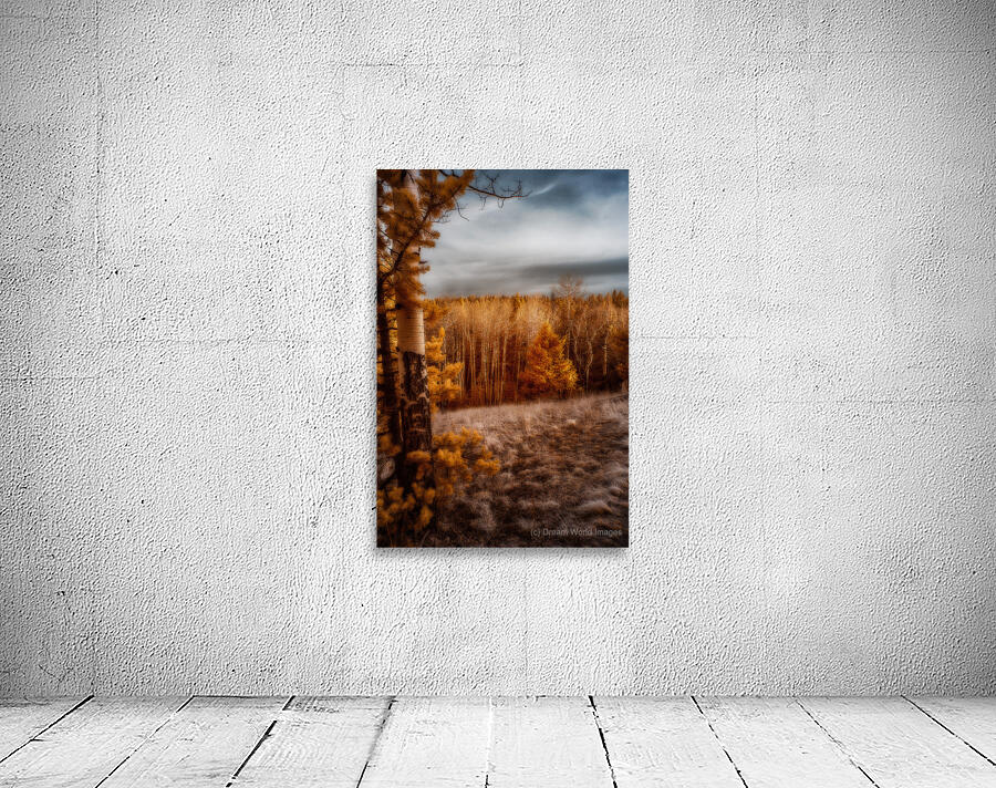 Mueller Aspen Series: Wall Preview