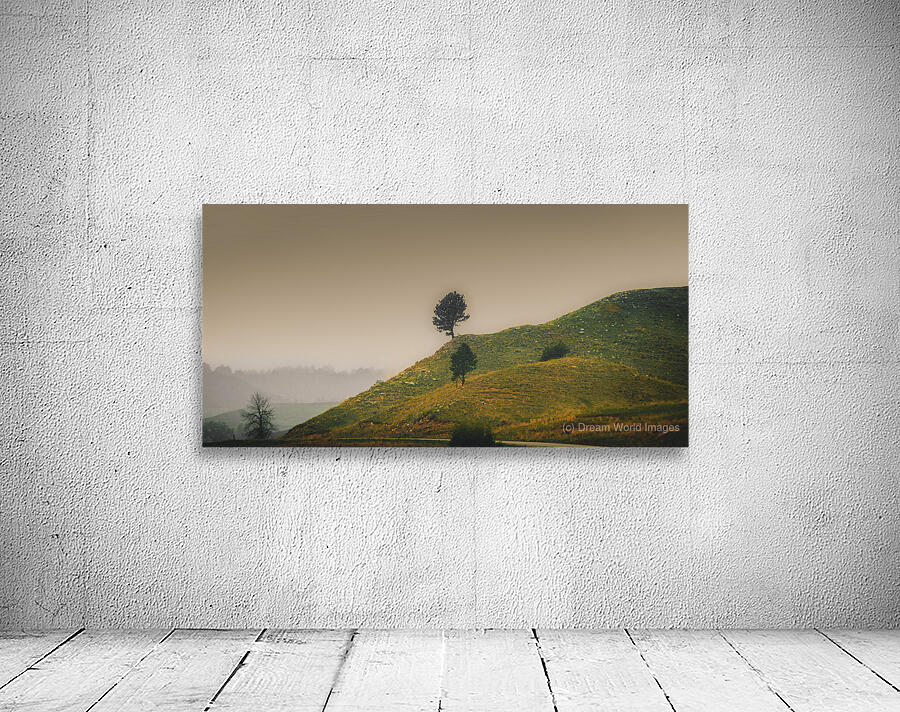 Solitary Sentinels: Misty Isolation Wall Preview