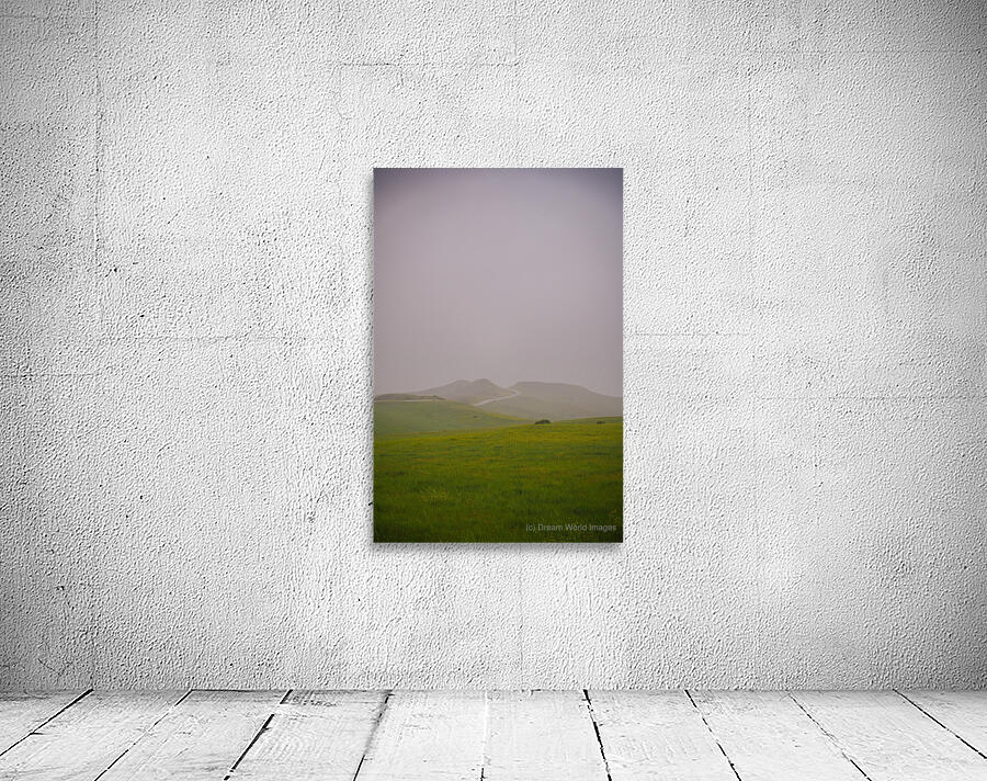 Eternal Echoes Wall Preview