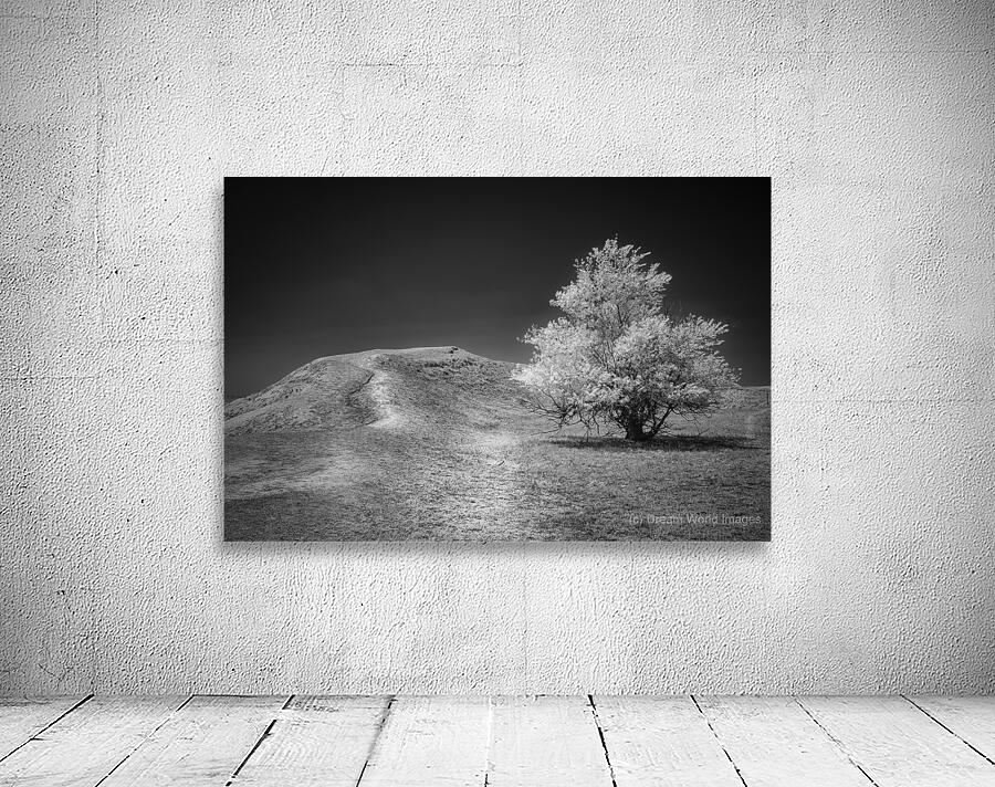 Silent Beauty: Navigating the Badlands with My Companions Wall Preview