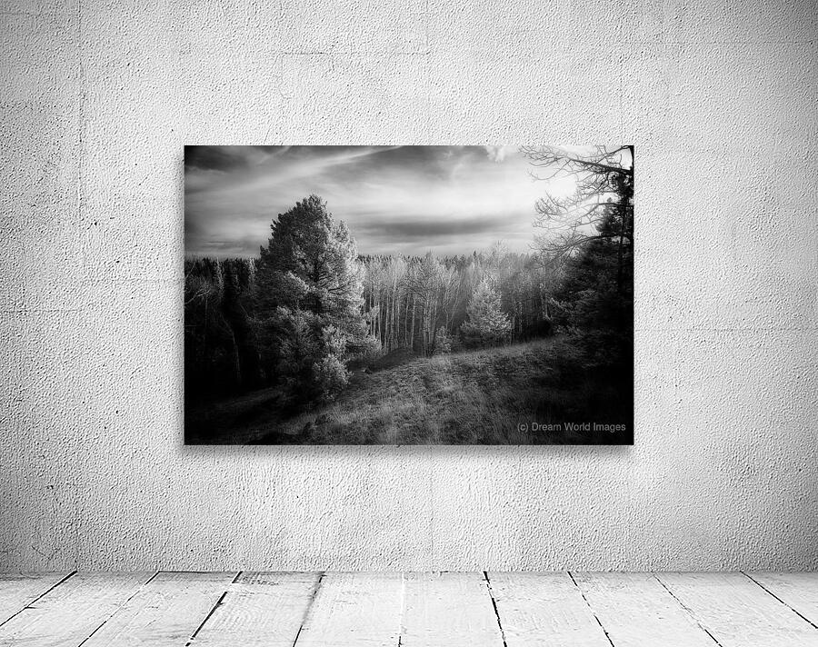 Mueller Aspen Series: Natures Finale Wall Preview