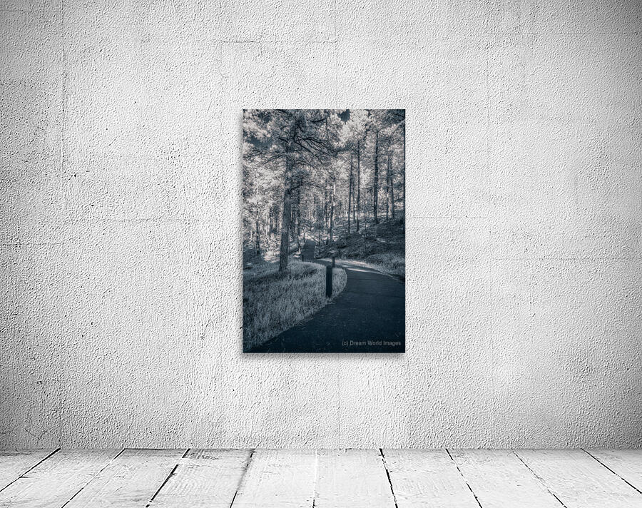 Mount Rushmore: Path Below the Monument in Infrared Magic Wall Preview