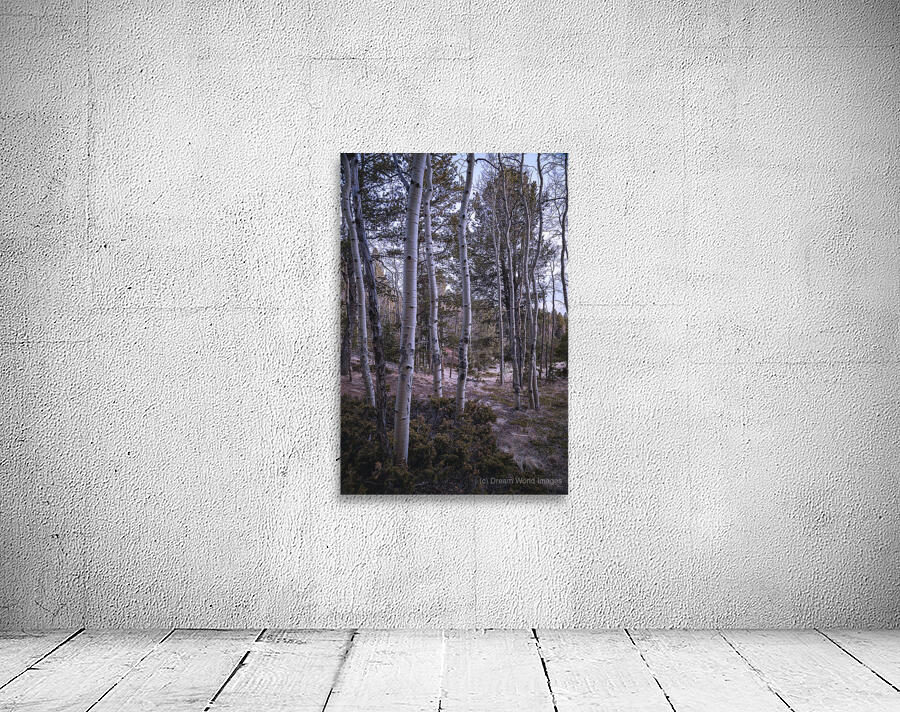 Mueller Aspen Series: Aspen Tree Trail Wall Preview