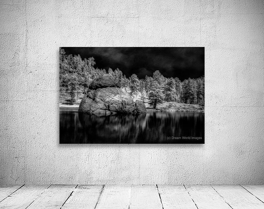 Enigmatic Elegance: Sylvan Lakes Monochrome Marvel Wall Preview