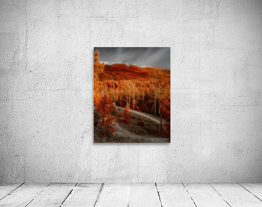 Mueller Aspen Series: Autumns Palette Wall Preview