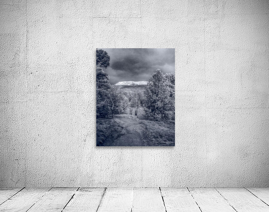 Mueller Aspen Series: Mountain Trail Tranquility Wall Preview