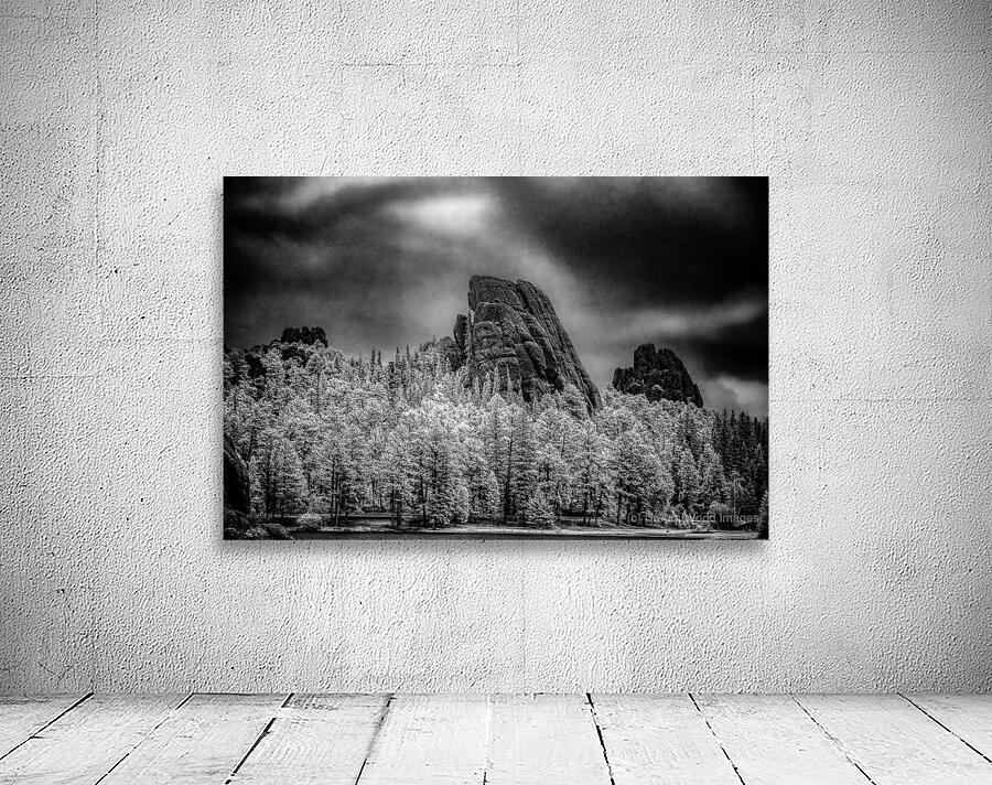 Sylvan Shadows: A Moody Encounter with Natures Drama in Custer  Wall Preview