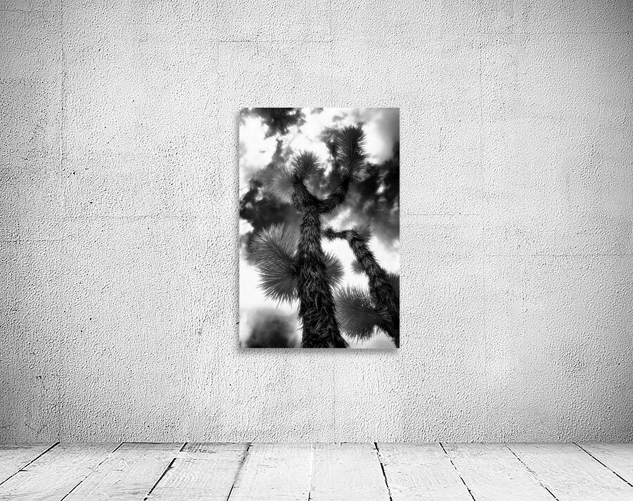 Reaching for the Storms Canopy Wall Preview