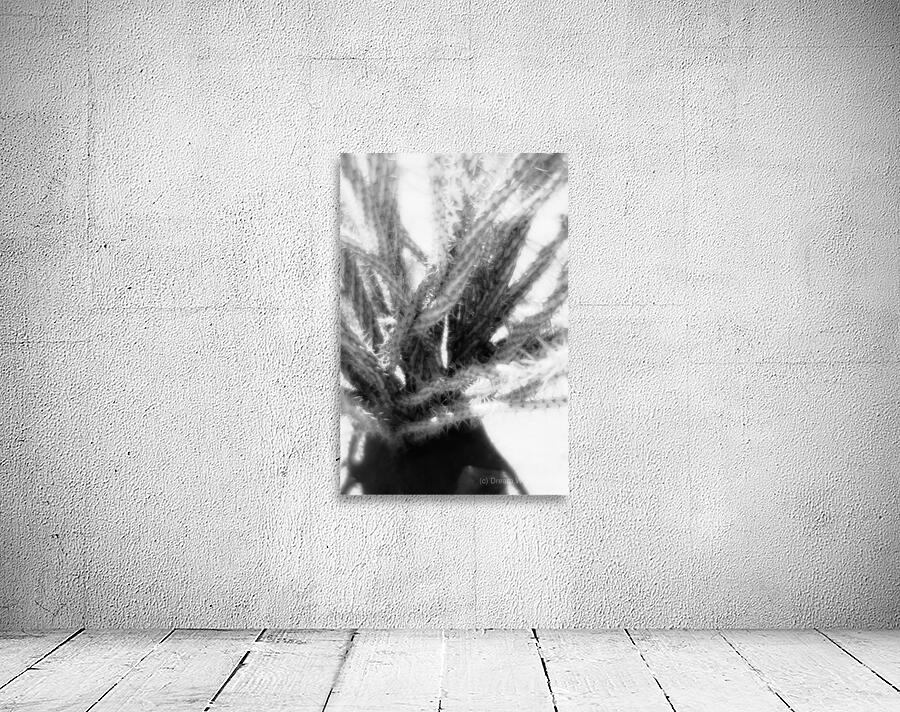 Prickly Dance on a Blurred Canvas Wall Preview