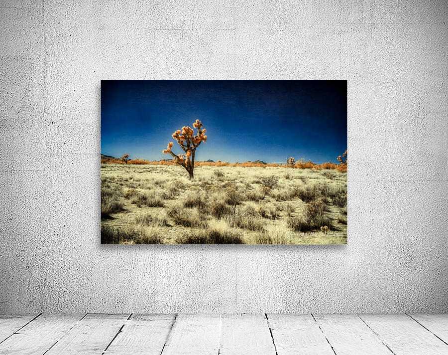 Lone Arboreal Ode in Desert Hues Wall Preview