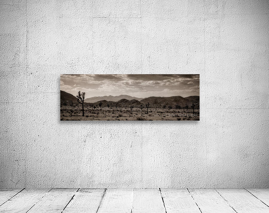 Desert Dreams Under Timeless Skies Wall Preview