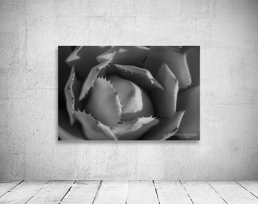 Lights Whisper Over Floral Peaks Wall Preview