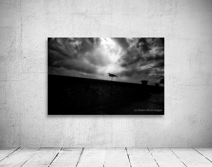 Rainy Day Stroll: Capturing Serenity with a Silhouetted Bird in  Wall Preview