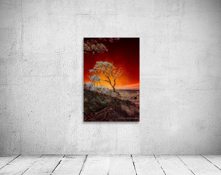 Ruby Bonsai: A Botanical Marvel Unveiled on Driftwood Beach Wall Preview