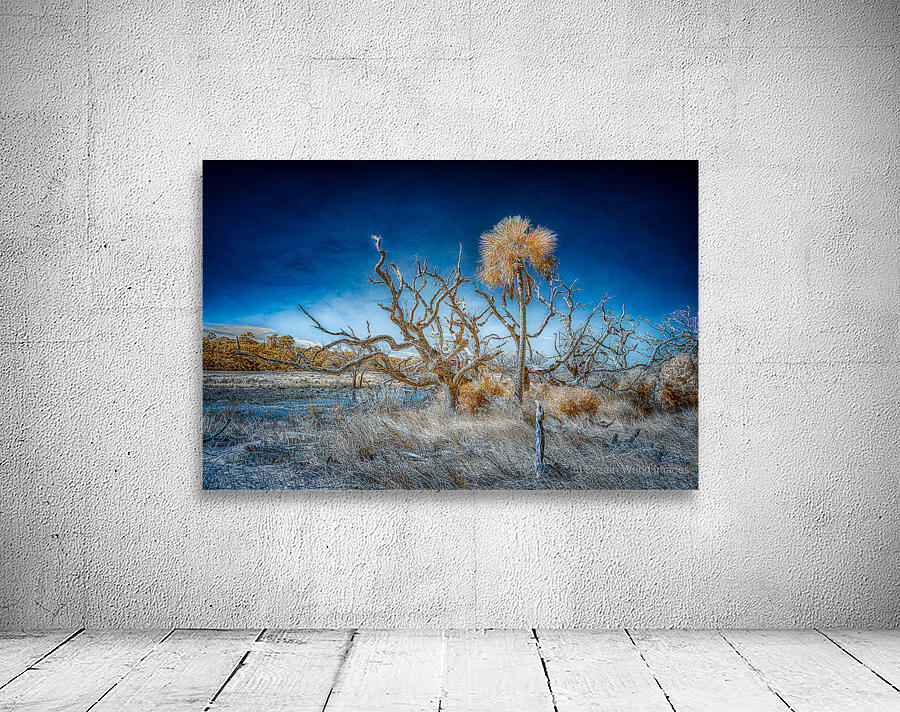 Isolated Serenity: Rows End Wall Preview