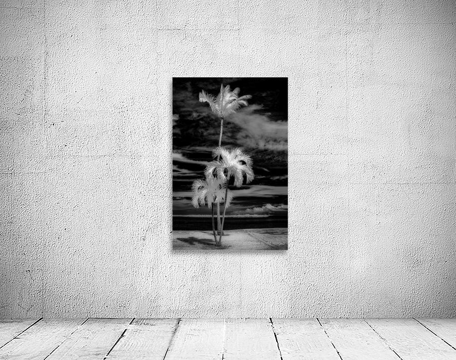 Texture of the Tropics Wall Preview