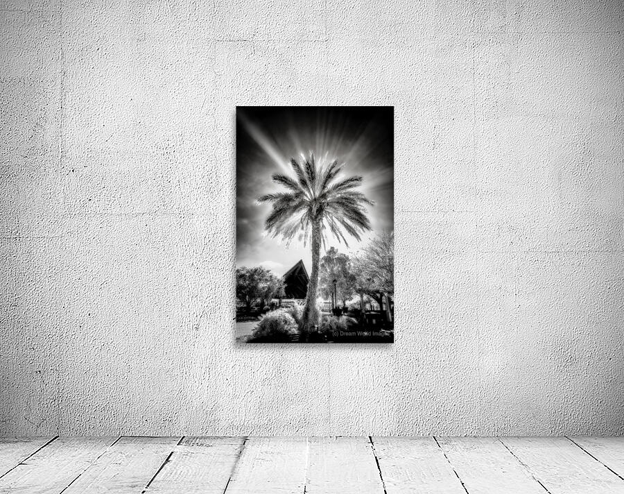 Lighted Palm Wall Preview