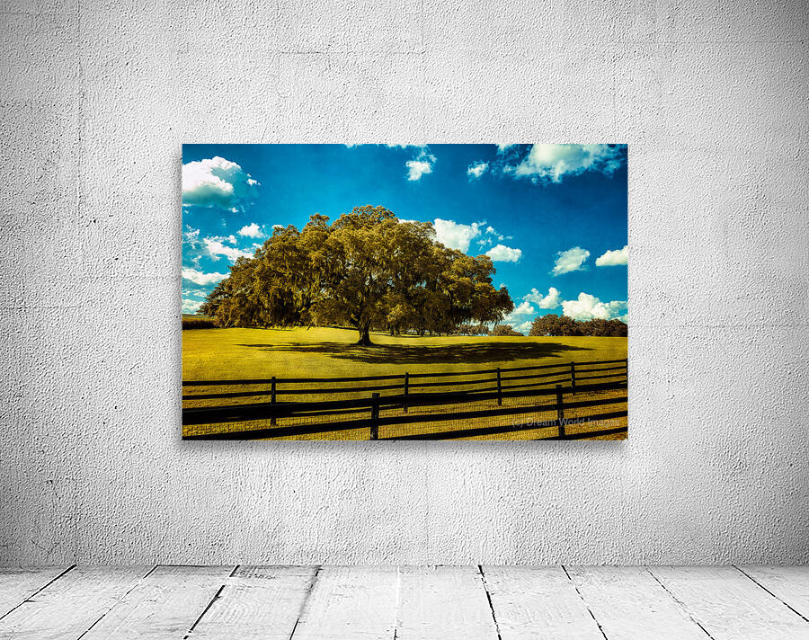 Majestic Oak: Exploring Ocalas Enchanting Back Roads Wall Preview